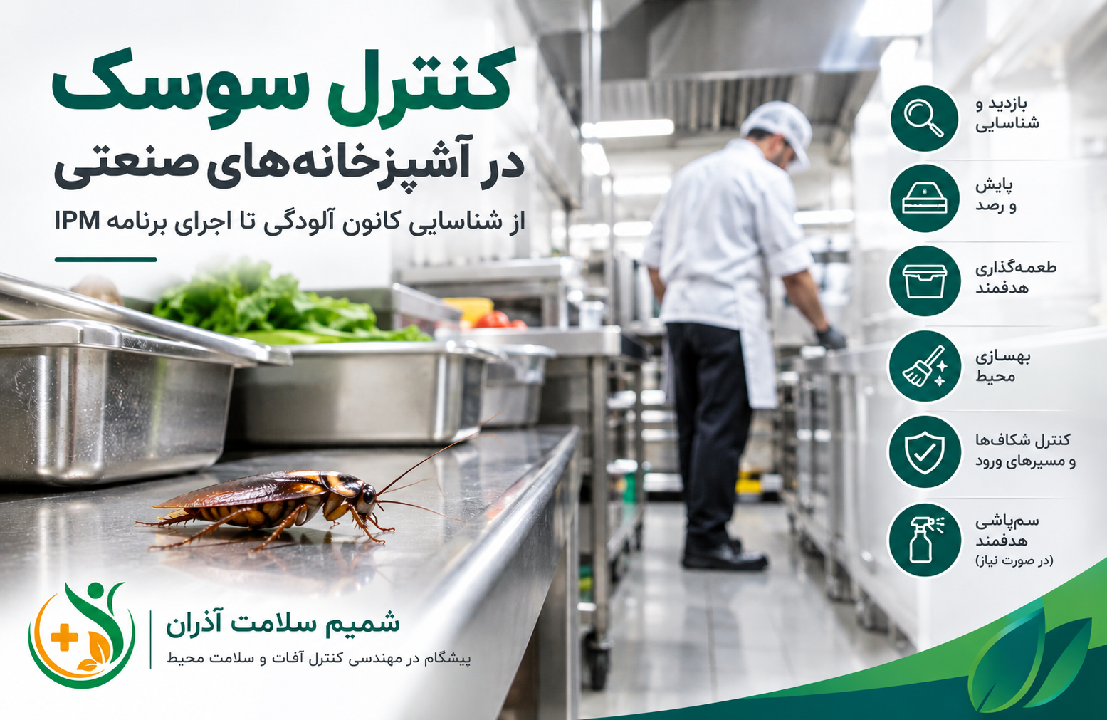 کنترل سوسک در آشپزخانه صنعتی